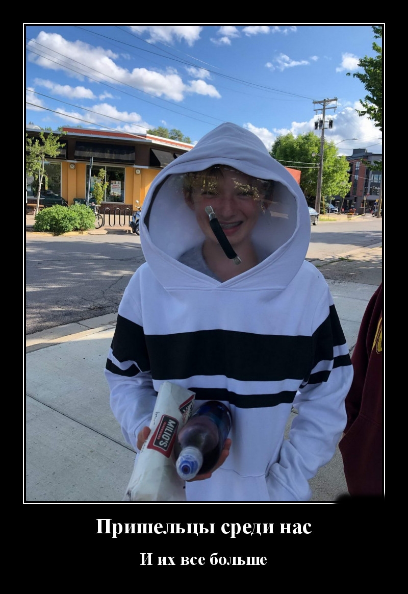 Podborka luchshikh demotivatorov 515 009